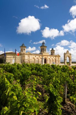 Vineyards with Chateau Cos d'Estournel, Bordeaux, Aquitaine, France clipart