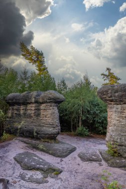 Landscape in a nature reserve Broumovske steny, eastern Bohemia, Czech Republic clipart