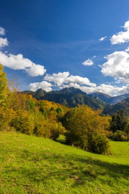 Autumn landscape in Mala Fatra National Park with Velky Rozsutec peak, Slovakia clipart