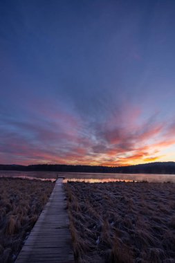 Doğa rezervi Olsina, Sumava Ulusal Parkı, Çek Cumhuriyeti
