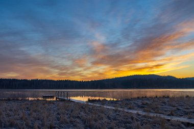 Doğa rezervi Olsina, Sumava Ulusal Parkı, Çek Cumhuriyeti