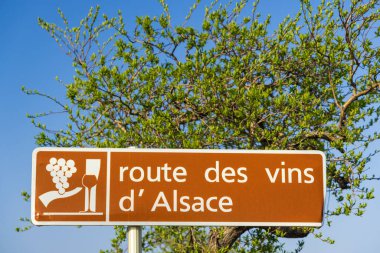 Colmar yakınlarındaki şarap yolu, Alsace, Fransa