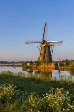 Traditional Dutch windmills in Kinderdijk - Unesco site, The Netherlands
