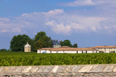 Chateau LaTour, Bordeaux, Aquitaine, Fransa yakınlarındaki tipik üzüm bağları