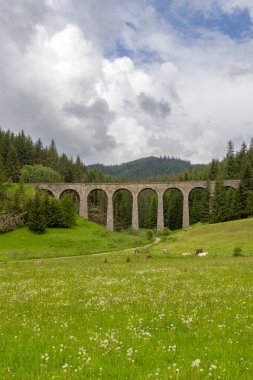 Telgart, Horehronie, Slovakya yakınlarındaki Chramossky köprüsü.