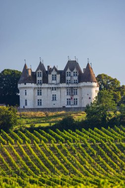 Chateau Monbazillac ( Monbazillac castle) with vineyards, Aquitaine, France clipart