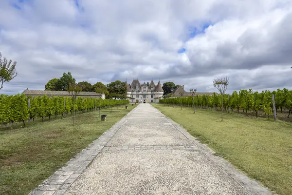 stock image Monbazillac castle (Chateau de Monbazillac) with vineyard, Dordogne department, Aquitaine, France