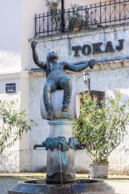 Tokaj kasabasının merkez meydanı, Tokaj bölgesi, UNESCO bölgesi, Great Plain, Kuzey Macaristan