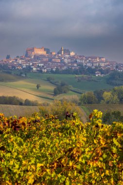 Cascina Montalbera ve Montemagno Monferrato yakınlarındaki tipik üzüm bağları Castagnole Monferrato, Piedmont, İtalya
