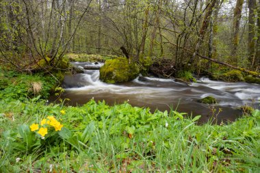 Plato des Grilloux, Thousand Ponds Plateau (Plateau des Mille etangs), Haute Saone, Bourgogne-Franche-Comte, Fransa