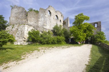 Falkenstein ruins, Lower Austria, Austria clipart