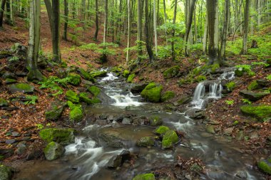 Nova Bana ve Zarnovica yakınlarındaki Starohutiansky şelalesi, Pohronsky Inovec dağları, Slovakya