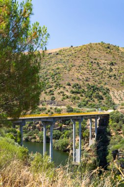 Park Arqueologico Vale do Coa (Coa Valley), UNESCO sitesi, paleolitik kaya resimleri, Kuzey Portekiz, Portekiz