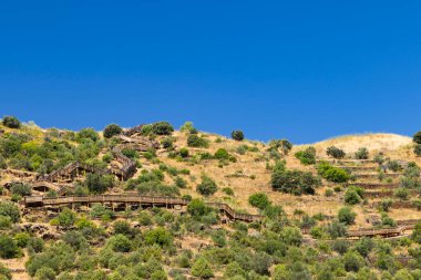 Park Arqueologico Vale do Coa (Coa Valley), UNESCO sitesi, paleolitik kaya resimleri, Kuzey Portekiz, Portekiz