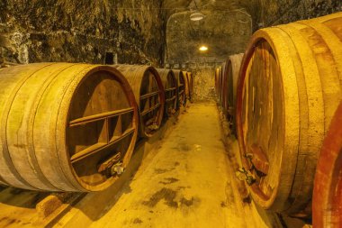 Breze Şatosu 'ndaki şarap mahzeni (Chateau de Breze), Pays de la Loire, Fransa