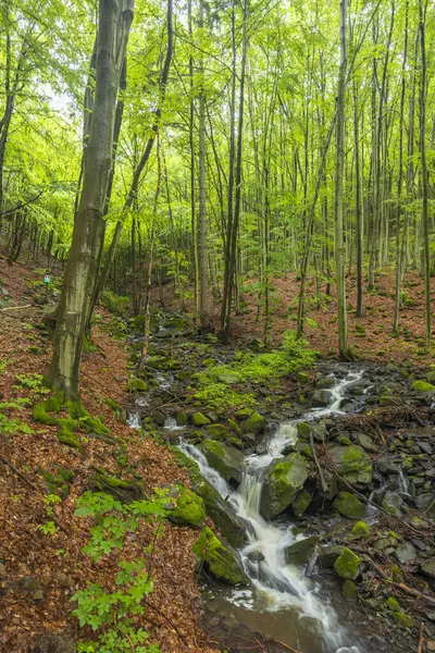 stock image Starohutiansky waterfall near Nova Bana and Zarnovica, Pohronsky Inovec mountains, Slovakia