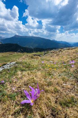 Portillo de Eraize ve Col de la Pierre St Martin yakınlarındaki tipik manzara, İspanya 'nın Pireneler kentindeki Fransız sınırı.