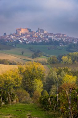 Cascina Montalbera ve Montemagno Monferrato yakınlarındaki tipik üzüm bağları Castagnole Monferrato, Piedmont, İtalya
