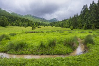 Hron Baharı, Horehronie, Low Tatras, Slovakya