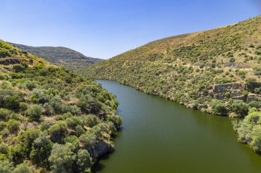 Park Arqueologico Vale do Coa (Coa Valley), UNESCO sitesi, paleolitik kaya resimleri, Kuzey Portekiz, Portekiz