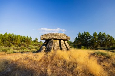 Alijo yakınlarındaki Dolmen Anta de Fonte Coberta, Vila Cha, Portekiz