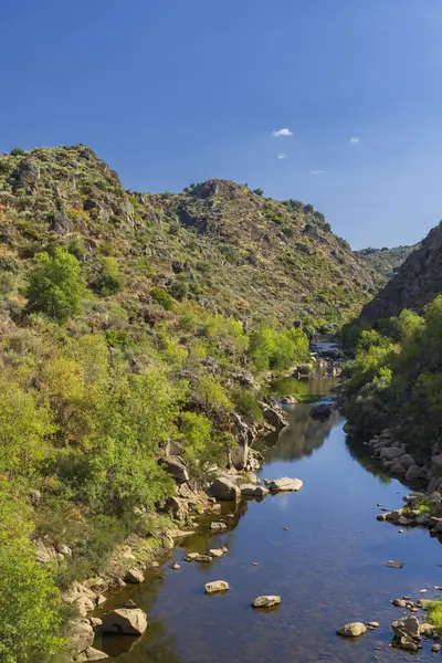 Park Arqueologico Vale do Coa (Coa Valley), UNESCO sitesi, paleolitik kaya resimleri, Kuzey Portekiz, Portekiz