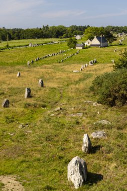 Carnac, Morbihan, Brittany, Fransa 'da Ayakta Duran Taşlar (veya Menhirs)