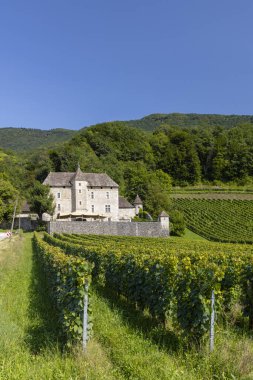 Chateau du Grand Mecoras too Chateau de Grand Mercoras, Auvergne-Rhone-Alpes, Savoie, France clipart