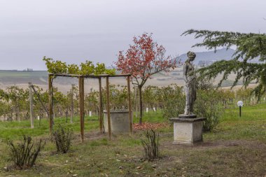 Castello di Razzano ve Alfiano Natta yakınlarındaki tipik üzüm bağları, Barolo şarap bölgesi, Piedmont bölgesi, İtalya