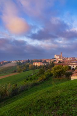 Grana Monferrato, Piedmont, İtalya yakınlarındaki tipik üzüm bağları
