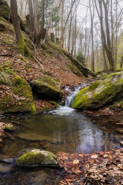 Burg Kaja ve Merkersdorf yakınlarındaki tipik manzara, Ulusal Park Thayatal, Aşağı Avusturya, Avusturya