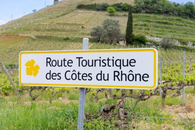 Tain l 'Hermitage, Cotes du Rhone, Fransa yakınlarındaki şarap yolu (Route Touristique des Cotes du Rhone) tipik üzüm bağı