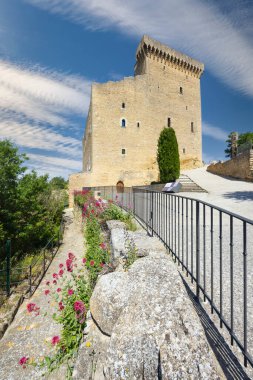 Chateauneuf-du-Pape Kalesi kalıntıları, Cotes du Rhone, Fransa