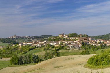 Castello di Razzano ve Alfiano Natta yakınlarındaki tipik üzüm bağları, Barolo şarap bölgesi, Piedmont bölgesi, İtalya