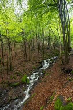 Nova Bana ve Zarnovica yakınlarındaki Starohutiansky şelalesi, Pohronsky Inovec dağları, Slovakya