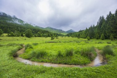 Hron Baharı, Horehronie, Low Tatras, Slovakya