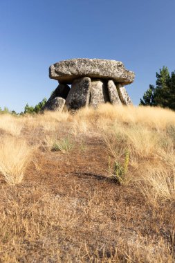 Alijo yakınlarındaki Dolmen Anta de Fonte Coberta, Vila Cha, Portekiz