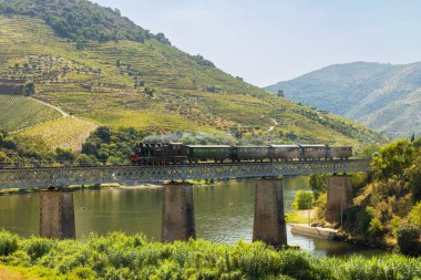 Demiryolu köprüsünde buharlı tren (Ponte Ferroviaria do Tua), Tua, Alto Douro, Portekiz