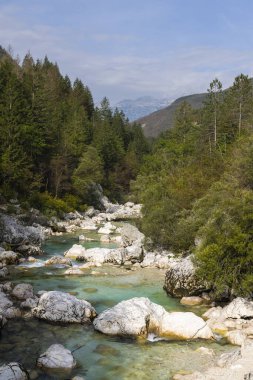 Soca nehri yakınlarındaki tipik manzara, Triglavski ulusal parkı, Slovenya
