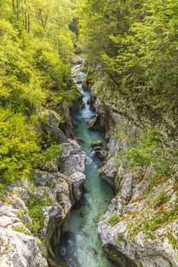 Great Soca Gorge (Velika korita Soce), Triglavski Ulusal Parkı, Slovenya