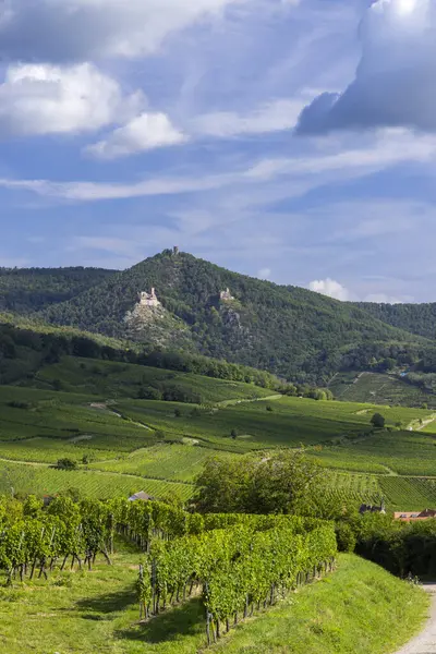 Saint-Ulrich Şatosu, Girsberg Şatosu ve Ribeauville, Alsace, Fransa yakınlarındaki Chateau du Haut-Ribeaupierre harabeleriyle bağlar.