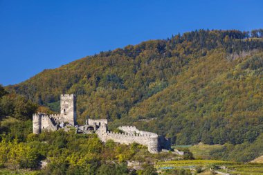 Hinterhaus Kalesi kalıntıları (Ruine Hinterhaus), Spitz, Wachau, UNESCO sitesi, Aşağı Avusturya, Avusturya
