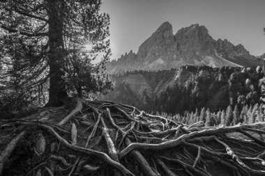 Peitlerkofel Mountain, Dolomiti near San Martin De Tor, South Tyrol, Italy clipart