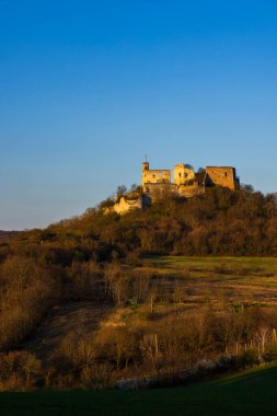 Falkenstein harabeleri ve üzüm bağı olan kasaba, Aşağı Avusturya, Avusturya