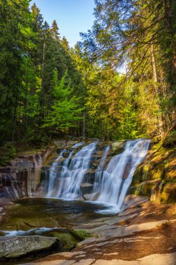 Waterfall Mumlava near Harachov, Giant Mountains (Krkonose), Eastern Bohemia, Czech Republic clipart