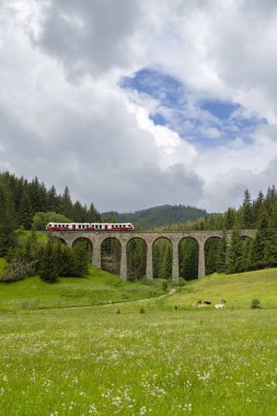 Telgart, Horehronie, Slovakya yakınlarındaki Chramossky köprüsü.