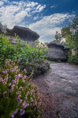 Doğa koruma alanı Broumovske steny, doğu Bohemya, Çek Cumhuriyeti