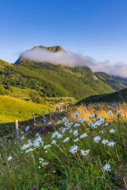 Landscape near Col d'Agnes, Department of Ariege, Pyrenees, France clipart