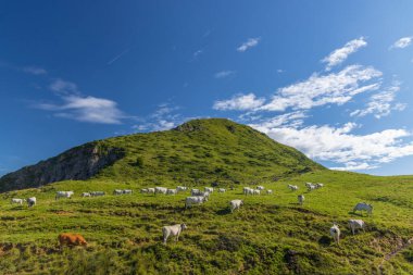Col d 'Agnes yakınlarındaki manzara, Ariege Bölümü, Pireneler, Fransa