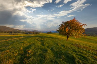 Karpat Dağları manzarası, Doğu Slovakya